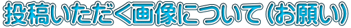 投稿いただく画像について（お願い）